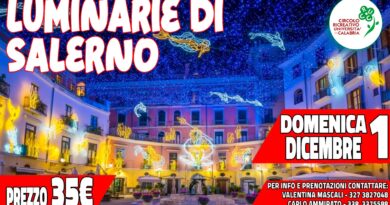 Luminarie di Salerno & Shopping Ikea – domenica 1 dicembre 2024