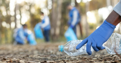 Iniziativa di Pulizia Ambientale Plastic Free – Università della Calabria, 26 ottobre 2024 ore 10.00